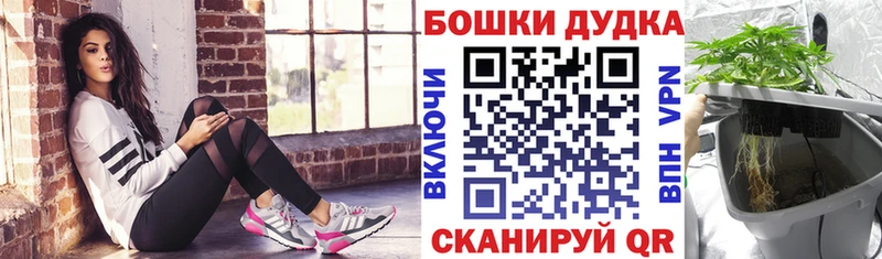 Виды наркоты Искитим НБОМе  КОКАИН  МЕТАДОН  Меф  Гашиш  Alpha-PVP  АМФ 